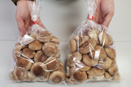新鮮！用途多彩！生しいたけ（菌床）　1kg