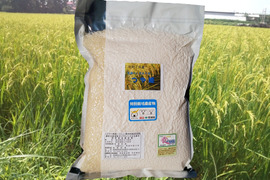 【ＥＭ自然農法米】宮城のつや姫　精米２kg（真空パック）分搗き米対応