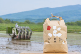 【新米】〈お米番付優秀賞農家〉 特別栽培米ゆめぴりか白米5kg＋ふっくりんこ白米5kg