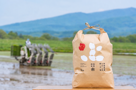 北海道のゆめぴりかで産地直送の商品｜食べチョク｜産地直送(産直)お