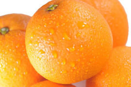 濃厚完熟　蔵出し　愛媛中島産ネーブル　優品・1.8ｋｇ