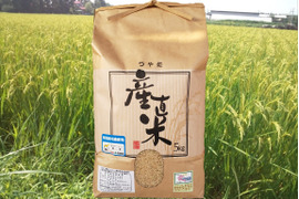 【ＥＭ自然農法米】宮城のつや姫　玄米５kg