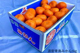 【貯蔵熟成で濃い甘み】濃蜜 青島みかん 5kg｜静岡県から産地直送（糖度12～14度）
