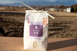 【令和7年産】農薬・化学肥料不使用　長野県産もち米【白米5kg】