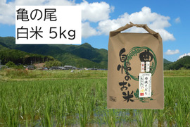 【新米・2026年産】自然栽培のお米『亀の尾』白米5㎏