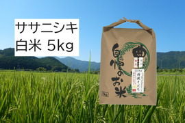 【2025年産】自然栽培米『ササニシキ』白米5kg