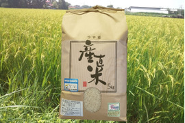 【ＥＭ自然農法米】宮城のつや姫　精米５kg　分搗き米対応可能