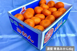 【貯蔵熟成】濃蜜 青島みかん 5kg｜静岡県から産地直送（糖度12～15度）