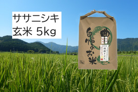 【2025年産】自然栽培米『ササニシキ』玄米5kg
