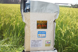 R4【ＥＭ自然農法米】宮城のササニシキ精米２kg（真空パック）分搗き米対応