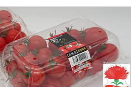 【母の日ギフト】《甘》オーガニック高糖度ミニトマト【飯田農園】miuトマト🍅2000g（500g✕4パック）