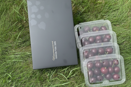 【予約販売】ワイナリーこだわりのさくらんぼ サミット800g秀品 ７月上旬～中旬発送