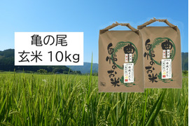 【新米・2026年産】自然栽培のお米『亀の尾』玄米10ｋｇ