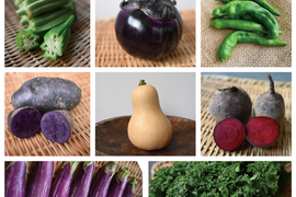 【月・金曜発送便】ココロ躍る🌈おまかせ野菜セット【さいたま市産】