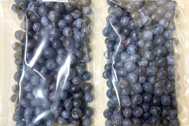 【良品Ｍ】新鮮・完熟を即冷凍！　ブルーベリー冷凍（Ｍサイズのみ粒揃い700ｇ）農薬不使用