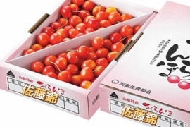 山形県産さくらんぼ佐藤錦！