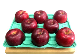【残りわずか!!】希少品種「おいらせ」🍎家庭用約2.7Kg　今年も登場！！　青森県産　数量限定