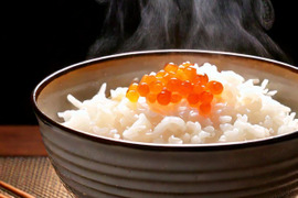 一人暮らしの方へ！山形県産コシヒカリ（2kg：大人1／1日1食約1ヶ月分） 令和6年産：精米、お試し用パックご飯1個（180g）付