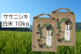 【新米・2026年産】自然栽培米『ササニシキ』白米10kg