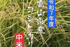 【中米(訳あり品)】【新米 令和７年産】富山県産コシヒカリ（精米）【ご家庭用・約9.5kg】（段ボール込み10kg）