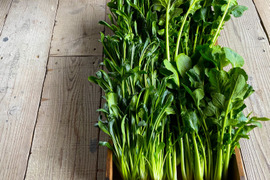 🌿京野菜食べ比べセット🌿【有機JAS畑菜&壬生菜各750g合計1.5kg‼️】市場には出回らないけど美味！京都人オススメの、畑菜‼️水菜とは違う濃厚な旨味、壬生菜‼️一度で嬉しい食べ比べセット