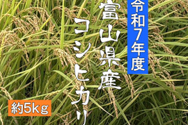【新米 令和７年産】富山県産コシヒカリ（精米）【ご家庭用・約4.6kg】（段ボール込み5kg）