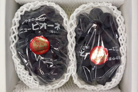 【9月発送分ご予約開始】贈答用ピオーネ1.2㎏箱（2房入り）（商品コード；PIONE12A）