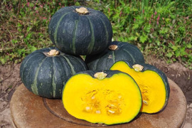 秋の味覚 かぼちゃ 食べチョク 農家 漁師の産直ネット通販 旬の食材を生産者直送