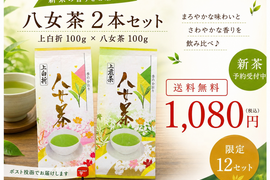 【新茶予約】八女茶 煎茶＆白折100g×2本セット｜農家直送・送料無料｜はじめての方におすすめ