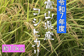 【新米 令和７年産】富山県産コシヒカリ（精米）【ご家庭用・約9.5kg】（段ボール込み10kg）