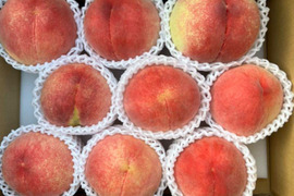 【家庭用】山梨県産桃　夢みずき　約8～10玉