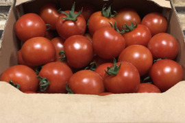 トマト好きが作ったあきずに毎日食べたいミニトマト１Kg