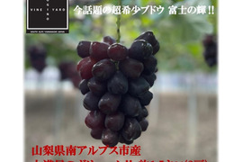 【数量限定】山梨県産 超希少高級ブドウ‼ 富士の輝 (約1.5㎏/2房)