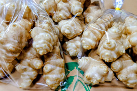 掘って洗い直ぐお届け【菊芋1.5kg】60ｻｲｽﾞで送料お得