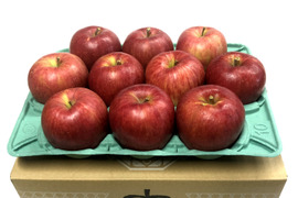 【予約販売】販売担当者イチオシ　シナノスイート💕家庭用約2.7Kg🍎青森県産　数量限定