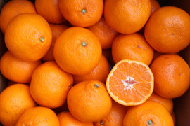 【冬ギフト】農家直送！有田みかん5kg≪3Lサイズ（超大玉） 秀品≫【平武農園】～蛍飛ぶ町から旬の便り～　和歌山｜有田｜田口｜ギフト｜こだわり　産地直送　お取り寄せ