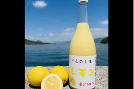 【無添加・果汁100%】瀬戸内レモン果汁 4本セット