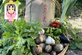 お米５kgとにんにく(白黒)＆季節野菜セット(芋の子入)