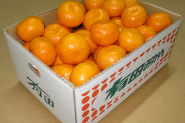 【11月下旬～1２月上旬頃まで】紀伊路屋 和歌山有田産 田口早生みかん＊5kg