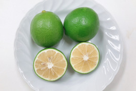 【ノーワックス＆防腐剤不使用】マイヤーレモン（3kg・グリーン）