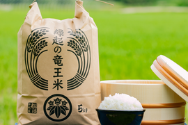 【福袋】品種おまかせ食べ比べセット！令和7年産新米【玄米2kg×2袋】特別栽培米！1750年から続くお米農家が作った『縁起の竜王米』　滋賀県竜王町産 お米