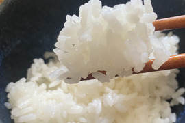 めちゃめちゃうまい きぬむすめ 白米5㎏