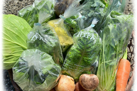 【数量限定☆山セット🎁】香りいっぱい！お得いっぱい！旬の春野菜詰め合わせ箱☆🥗🥕🥦＋山椒の葉付き🌿