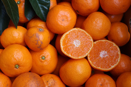 【冬ギフト】農家直送！有田みかん3kg≪無選別（秀品・訳あり品・サイズ混合）≫【平武農園】～蛍飛ぶ町から旬の便り～　和歌山｜有田｜田口｜ギフト｜こだわり　産地直送　お取り寄せ