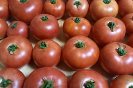 セレブスイートトマト　400g