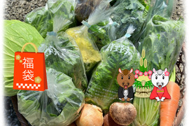 【2026福袋☆初売り！お一人様🎁】福いっぱい！お得いっぱい！新春詰め合わせ箱☆🥗🍠🥦＋和歌山産果物付き🍊🍋