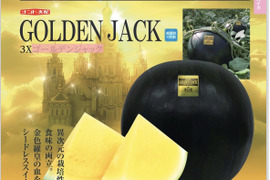 【雅】糖度13-14以上【ゴールデンジャック】『大里果樹園のスイカ』2Ｌ-3Ｌ