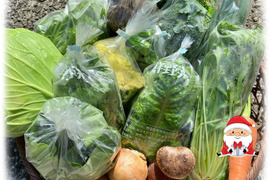 【🎄Xmas限定☆彡2～3人様セット🎁】たくさんの種類！ちょうどいい量！お料理好きの野菜詰め合せ🥗