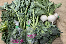 旬の野菜セット（春野菜）