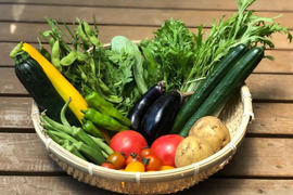 しゅん農園の旬の野菜お任せセット 7〜10品目前後